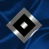 Frank Borst - @frankborst02 - TikTok