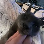 @frank_bott2025 - Instagram