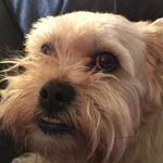 Frank Bailey Boudreau - @frankbaileyboudreau - Instagram