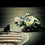 Frank Boudreau - @boudreaufrank - Instagram