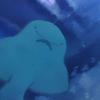 Frank Lee Bourbon - @frank.lee.bourbon - TikTok