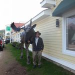 Frank Bourner - @frankbourner - Instagram