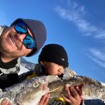 Francois Bourque - @frank_bourque8 - Instagram