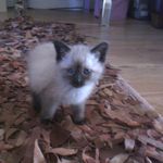 @frankbowley2014 - Instagram