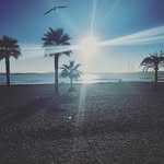 frank bowling - @frankbowling0.15 - Instagram