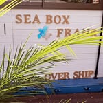 SEA　BOX　FRANK - @seaboxfrank - Instagram