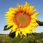 Ralf Schweizer - @frank.brauer.3557 - Instagram