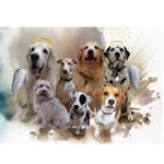 Jojo,Benji,Frankie,Cosmo,Braxton - @thefa_mous5 - Instagram