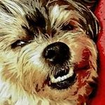 Frank Brehmer - @frankbrehmer - Instagram