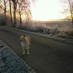 Frank Brenner - @frankbrenner68 - Instagram