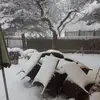 brbelbreternitz - @brbelbreternitz - TikTok