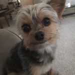 Frank Bridges - @frankbridges8 - Instagram