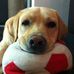 Frank Brinker - Facebook