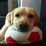Frank Brinker - @fr.brinker - Instagram