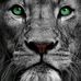 Frank Britto - Facebook