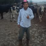 Frank Britto - @frank.britto.925 - Instagram