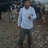 Frank Britto - @frankbritto3 - TikTok