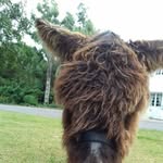 Frank Brodu - @frankbrodu - Instagram