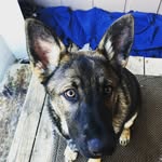 frank :) - @_frank_brooks_ - Instagram