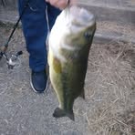 Frank Browning - Facebook