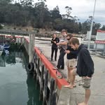 Frank Browning - @frank.browning.125 - Instagram
