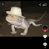 your badxd yt - @frankbrowning27 - TikTok