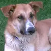 Frank Bruss - @frank.bruss - TikTok