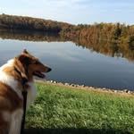 Frank Buckley - @frank.buckley.37 - Instagram