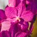 Frank Buckner - Facebook