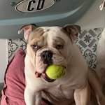 Frank Burdack - @frankburdack - Instagram
