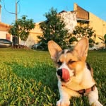 frankbures - @bures276 - Instagram