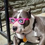 Frank Burnham - @ifrankburnham - Instagram