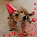 Frank Büscher - Facebook