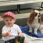 Frank & Buster - @frankandbuster - Instagram