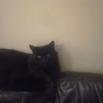 frank and buster - @frank_buster.cutie - Instagram
