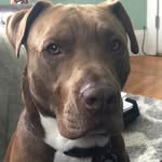 Frank Buster Young - @frank_buster_young - Instagram