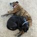 Franklin Button - Facebook
