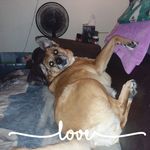Frank Cable - @frank.cable.37 - Instagram