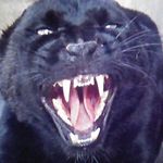 Frank Ben Cairo - @frankcairo.57 - Instagram