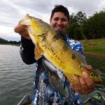 Frank Calesso Pesca Esportiva - @frankcalesso - Instagram