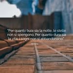 Frank Callo - @frank.callo.127 - Instagram