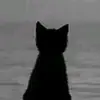 Frank Calizon - @frank.calizon - TikTok