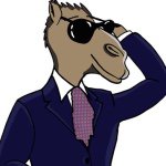 Frank Camel - @thearsycamel - Instagram