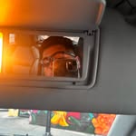 frank campos - @frankcampos53 - Instagram