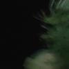 Frank Cardonne - @frankcardone4 - TikTok