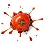 Frank Casanova - @sacra.tomato - Instagram