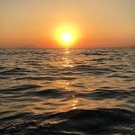 @frank_cascone7 - Instagram