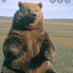Frank Casella - @ackack999 - Instagram