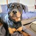 Frank Cassel - Facebook