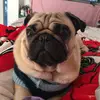 user2110097799967 - @frankcassel - TikTok
